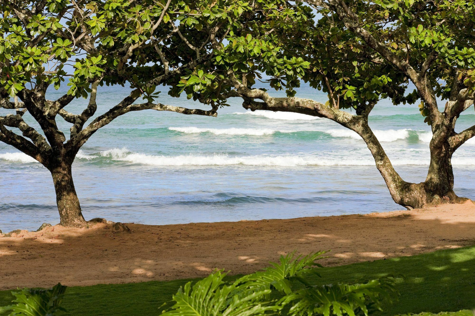 1 Hotel Hanalei Bay Принсвилл Экстерьер фото